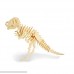 3 Pack 3D Wooden Puzzles Dinosaur DIY Assembly Model Adult Craft DIY Brain Teaser Games Engineering Toys B07BY6BWVJ